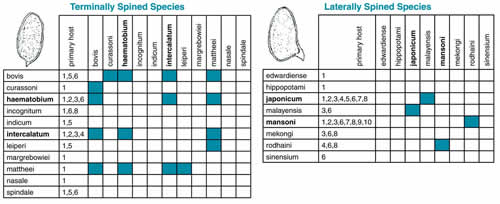 Figure 1: Schistosoma Hybridogram.  Human pathogens are in bold. The numbers denote the organisms the 19 Schistosoma species inhabit. 1=Artiodactyla, 2=Human, 3=Primate, 4=Leporidae, 5=Equidae, 6=Rodentia, 7=Insectovora, 8=Carnivora, 9=Edentata, 10=Didelphis.