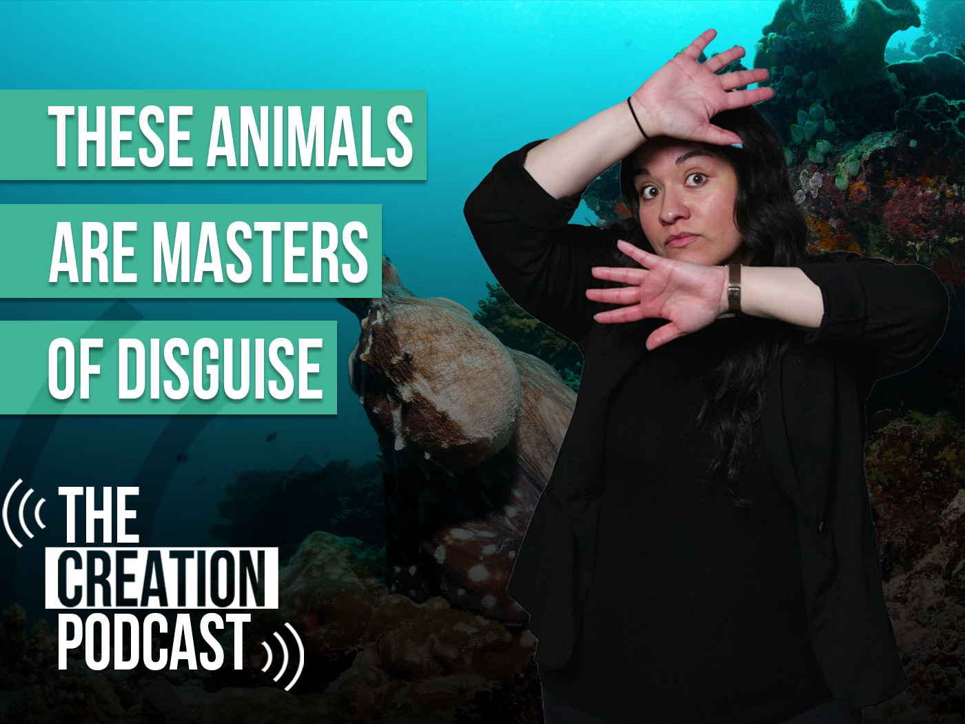 These Animals Are Masters of Disguise | The Creation Podcast: Episode 33