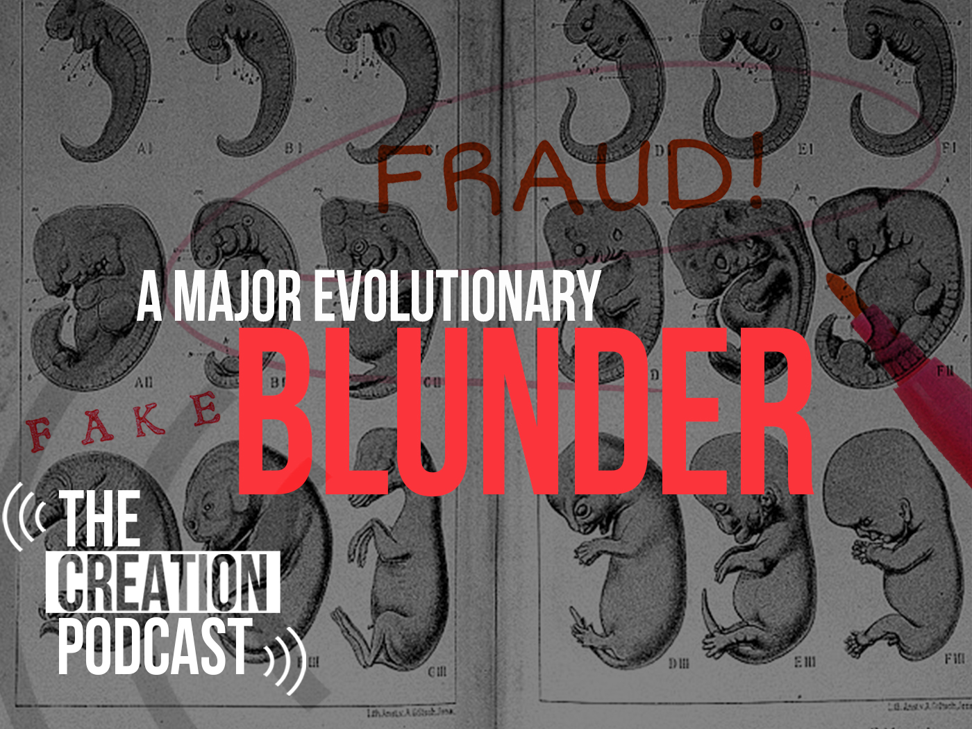 Ernst Haeckel: Evolutionary Huckster | The Creation Podcast: Episode 71