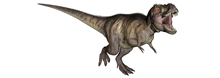 In Search Of the Congo Dinosaur The Institute for Creation Research