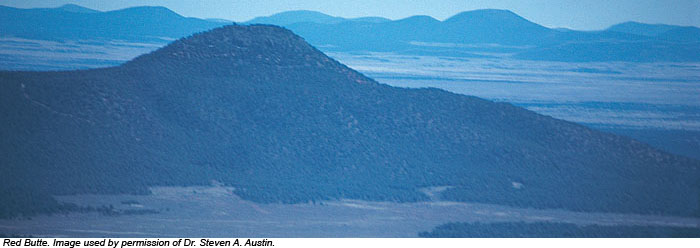 Red Butte. Image used by permission of Dr. Steven A. Austin.