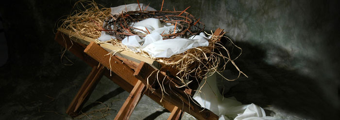 Creation and the Virgin Birth | The Institute for Creation Research