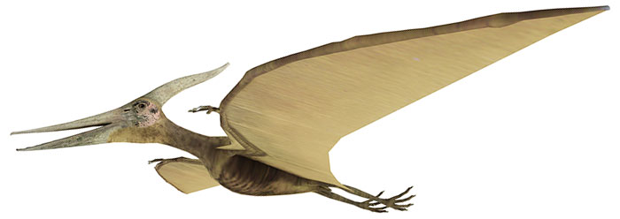 Science: evidence is intelligence - Jet-Size Pterosaurs Took Off