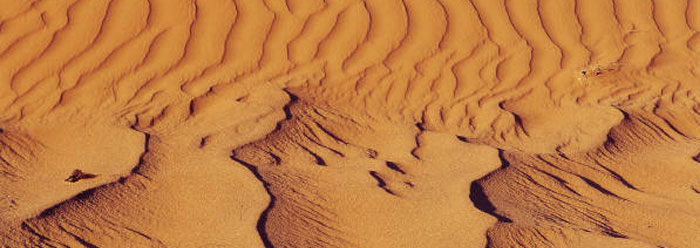 Genesis and a &#039;Wet&#039; Sahara | The Institute for Creation Research