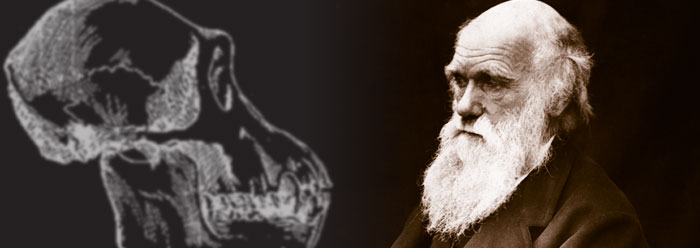 Charles Darwin: The Man Behind The Monkey