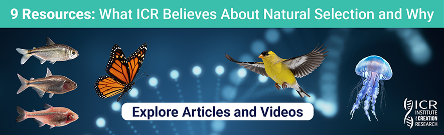 9 Resources: What ICR believes about natural selection and why | Explore Articles and Videos